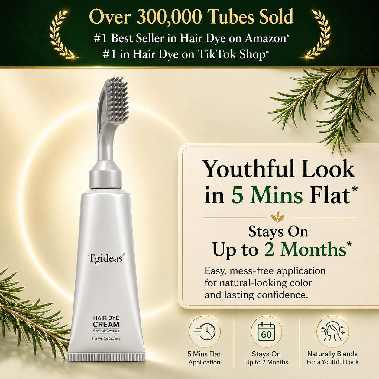 Tgideas Instant Gray Coverage Hair Dye Comb